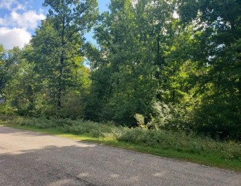 Lot 17 Timber Shores Drive, Stevens Point, WI 54481