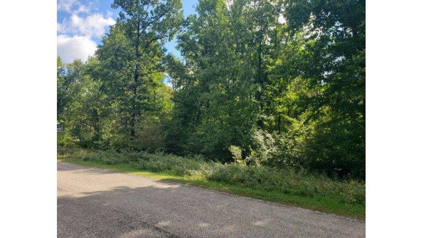 Lot 17 Timber Shores Drive Stevens Point, WI 54481 by First Weber - homeinfo@firstweber.com $79,900