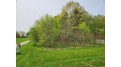 Lot 8 3rd Street Pittsville, WI 54466 by Century 21 Gold Key - Phone: 715-387-2121 $19,900