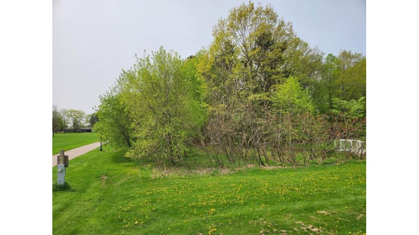 Lot 8 3rd Street Pittsville, WI 54466 by Century 21 Gold Key - Phone: 715-387-2121 $19,900