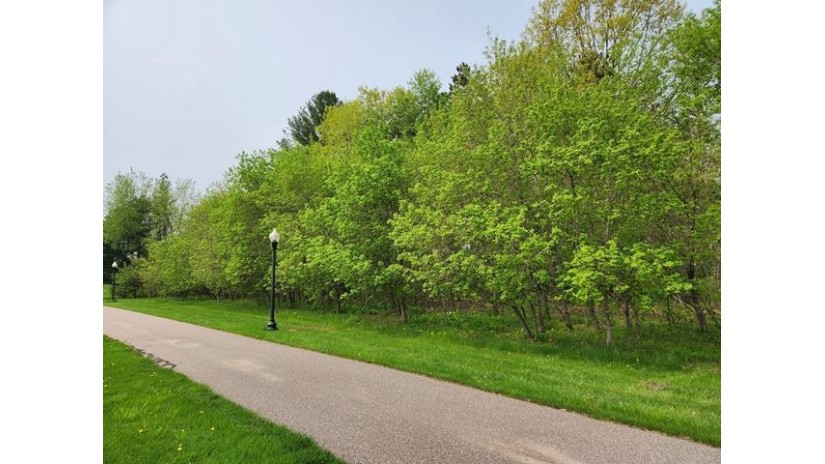 Lot 8 3rd Street Pittsville, WI 54466 by Century 21 Gold Key - Phone: 715-387-2121 $19,900