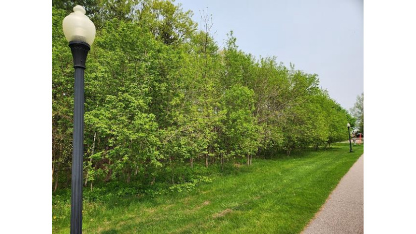 Lot 8 3rd Street Pittsville, WI 54466 by Century 21 Gold Key - Phone: 715-387-2121 $19,900