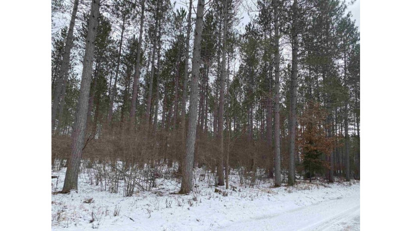 ON River Road West Tomahawk, WI 54487 by Steigerwaldt Land Sales, Llc - todd.frederickson@steigerwaldt.com $27,000