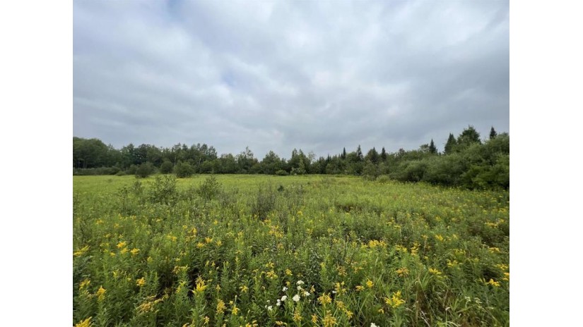 160 Acres North Star Drive Merrill, WI 54452 by First Weber - homeinfo@firstweber.com $320,000