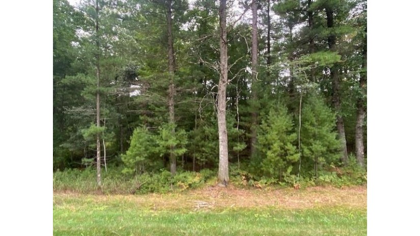 11.44 Acres MOL State Highway 54 Wisconsin Rapids, WI 54495 by First Weber - homeinfo@firstweber.com $66,000
