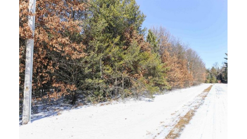Lot 6 South 60th Street Wisconsin Rapids, WI 54494 by Nexthome Partners - 715-424-3000 $16,900