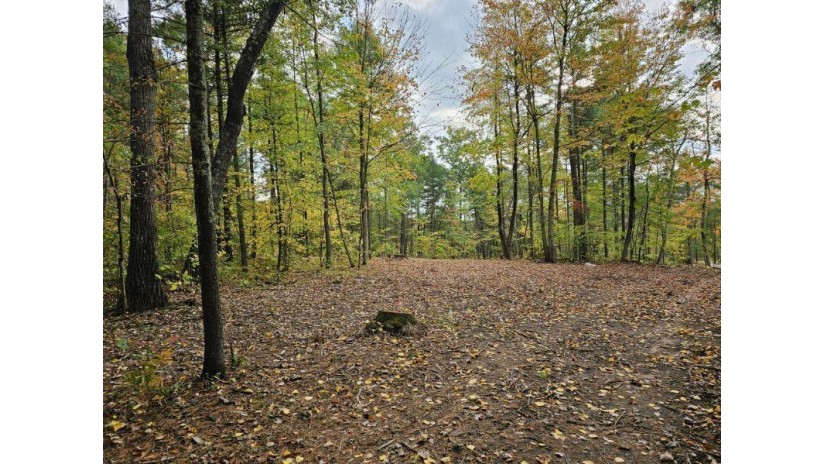 Lot 1 Scout Road Mosinee, WI 54455 by Re/Max Excel - Phone: 715-432-0521 $209,900