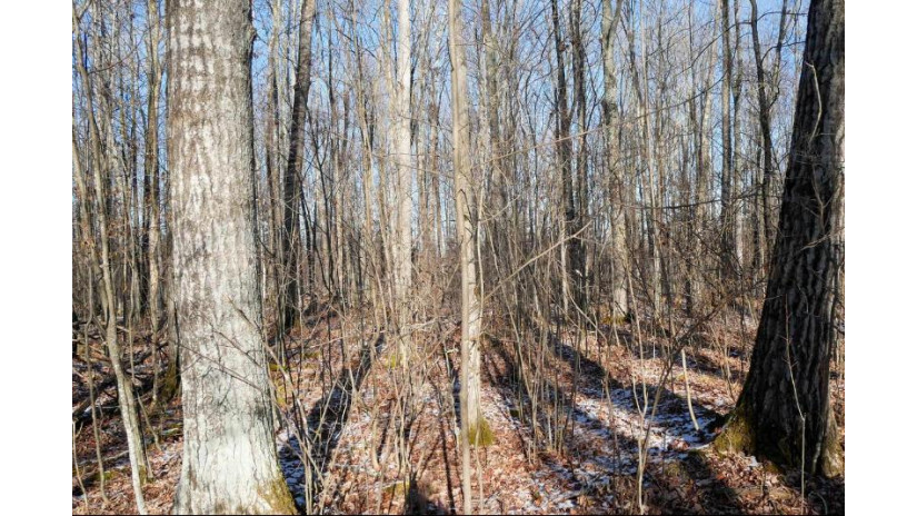 4.70 Acres Us Highway 8 Prentice, WI 54556 by Dixon Greiner Realty, Llc - Phone: 715-748-2258 $58,900