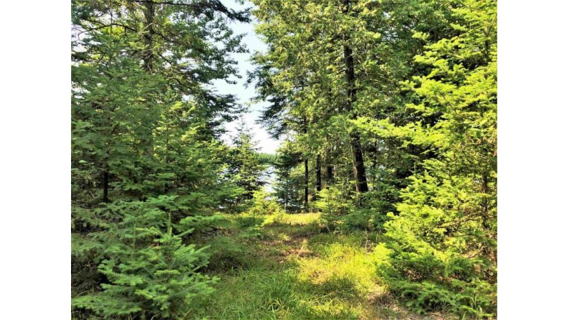 On Sand Cove Pointe Road Park Falls, WI 54552 by Northwoods Realty $83,900