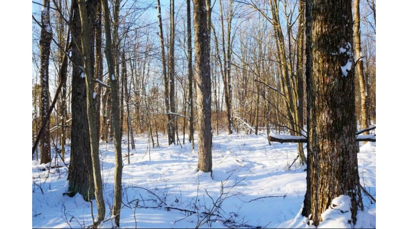 +/-159 Acres County Road I Ogema, WI 54459 by Dixon Greiner Realty, Llc - Phone: 715-748-2258 $289,000