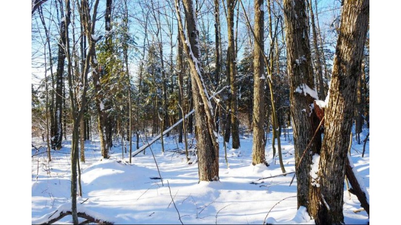 +/-159 Acres County Road I Ogema, WI 54459 by Dixon Greiner Realty, Llc - Phone: 715-748-2258 $289,000