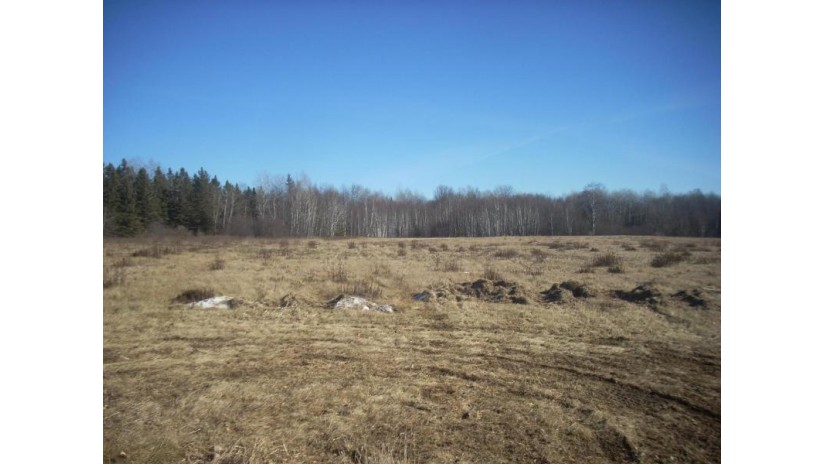 12.75 Acres County Road Jj Pier Street Merrill, WI 54452 by Re/Max Excel - Phone: 715-212-3967 $65,000