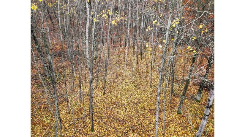 Lot 9 Wind Song Road Tomahawk, WI 54487 by Northwoods Community Realty Llc $50,000