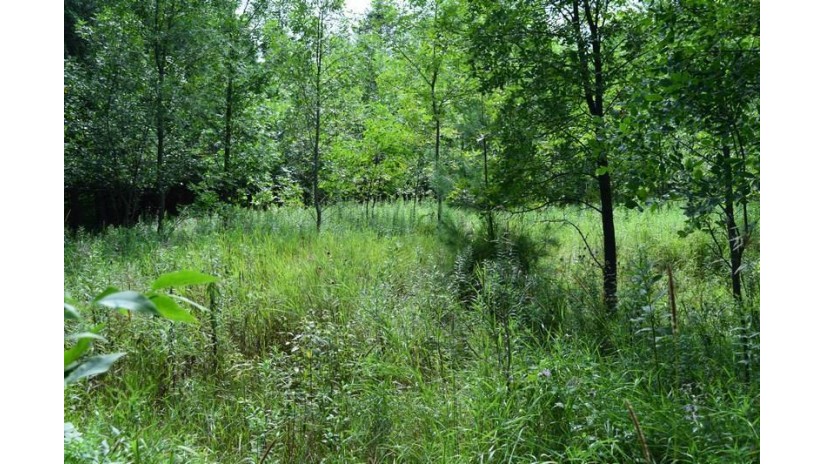 Lot 26 Sobe Court Mosinee, WI 54455 by First Weber - homeinfo@firstweber.com $36,000