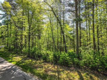 Lot 16 Selmer Road, Tomahawk, WI 54487