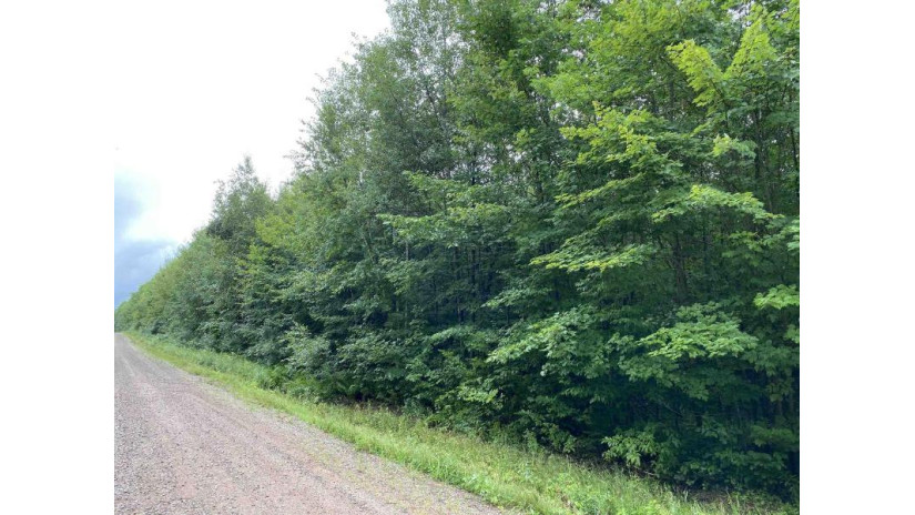 ON Joe Snow Road Sale 2044-1 Merrill, WI 54452 by Steigerwaldt Land Sales, Llc - todd.frederickson@steigerwaldt.com $216,000