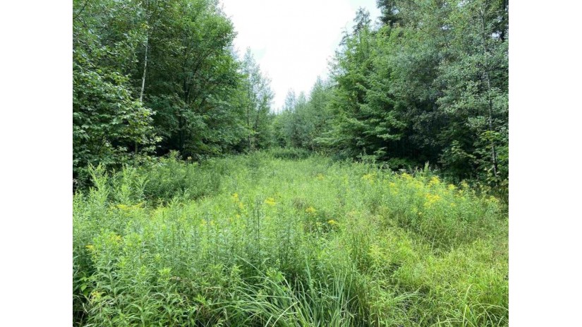 ON Joe Snow Road Sale 2044-3 Merrill, WI 54452 by Steigerwaldt Land Sales, Llc - todd.frederickson@steigerwaldt.com $216,000