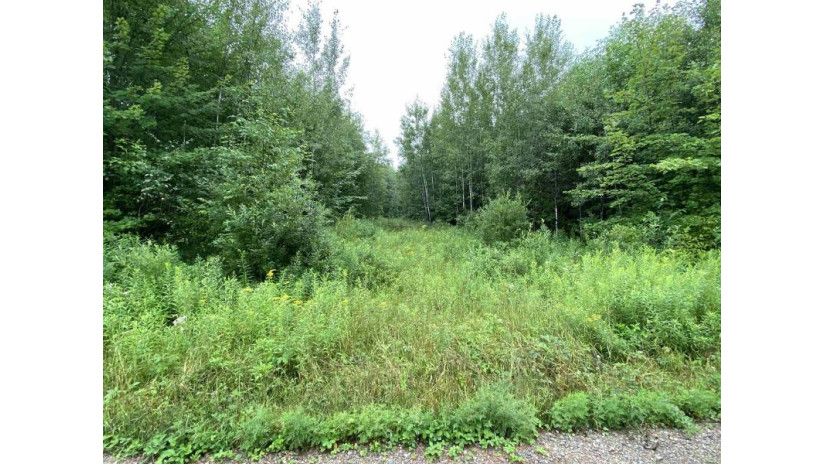 ON Joe Snow Road Sale 2044-4 Merrill, WI 54452 by Steigerwaldt Land Sales, Llc - todd.frederickson@steigerwaldt.com $116,640