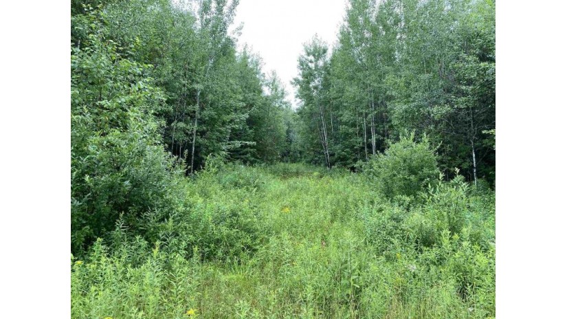 ON Joe Snow Road Sale 2044-4 Merrill, WI 54452 by Steigerwaldt Land Sales, Llc - todd.frederickson@steigerwaldt.com $116,640