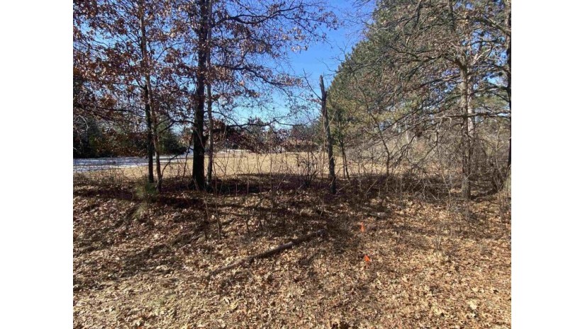 Lot 2 First Street Stevens Point, WI 54481 by Kpr Brokers, Llc - Cell: 715-598-6367 $59,900