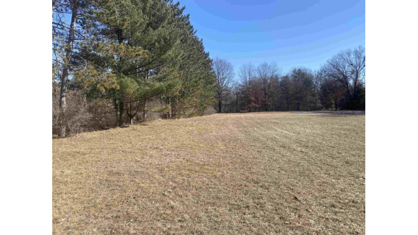 Lot 2 First Street Stevens Point, WI 54481 by Kpr Brokers, Llc - Cell: 715-598-6367 $59,900