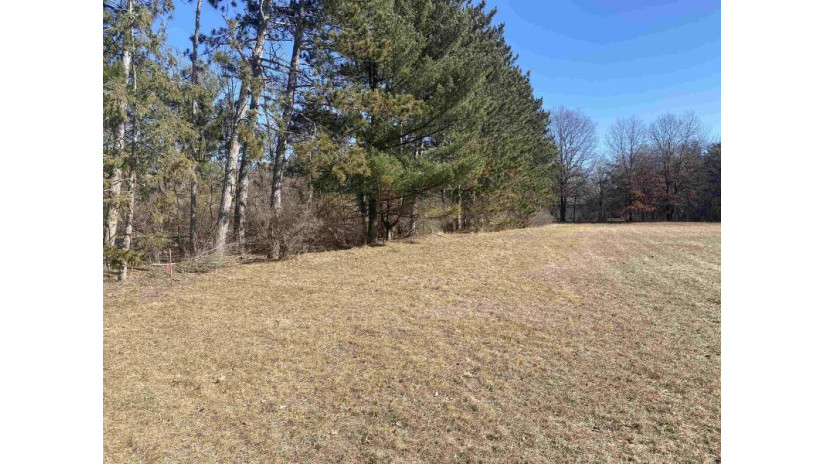 Lot 2 First Street Stevens Point, WI 54481 by Kpr Brokers, Llc - Cell: 715-598-6367 $59,900