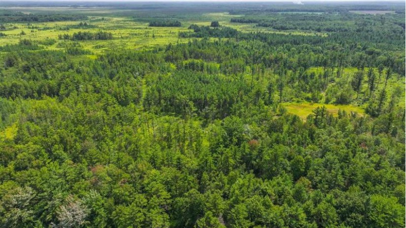 81 Acres Birch Drive Mosinee, WI 54455 by Nexthome Partners - 715-424-3000 $400,000