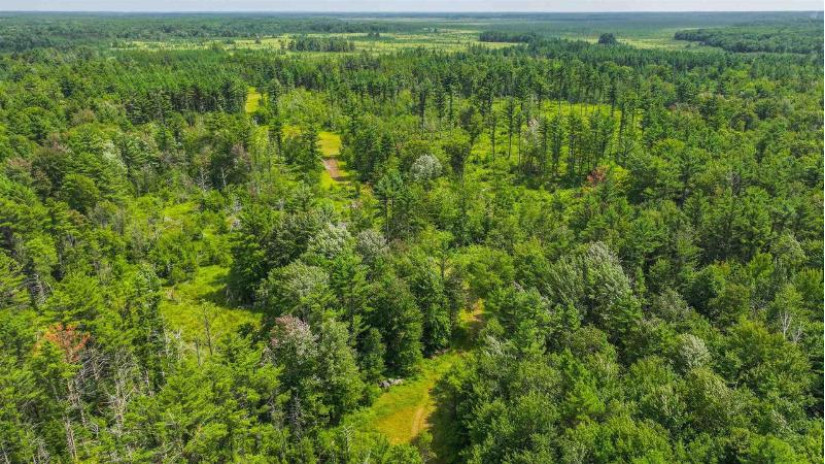 81 Acres Birch Drive Mosinee, WI 54455 by Nexthome Partners - 715-424-3000 $400,000