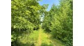 81 Acres Birch Drive Mosinee, WI 54455 by Nexthome Partners - 715-424-3000 $400,000