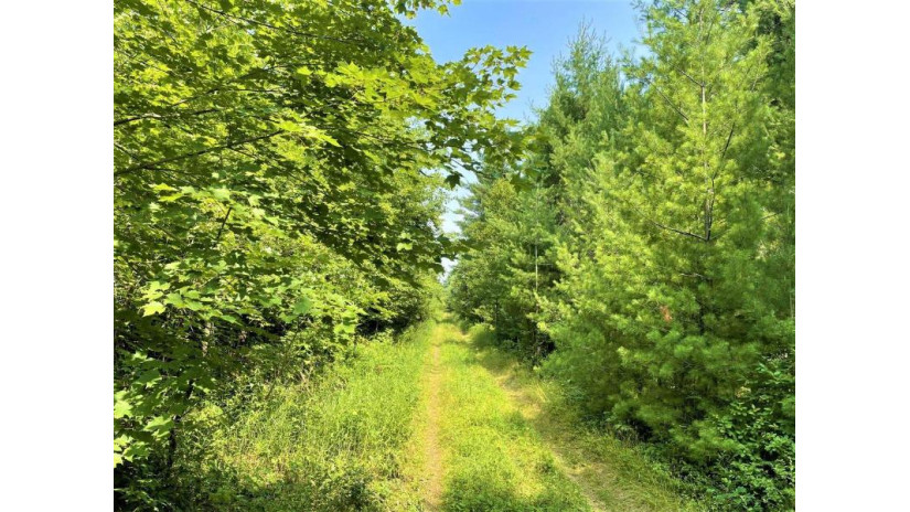 81 Acres Birch Drive Mosinee, WI 54455 by Nexthome Partners - 715-424-3000 $400,000