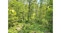 81 Acres Birch Drive Mosinee, WI 54455 by Nexthome Partners - 715-424-3000 $400,000