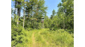 81 Acres Birch Drive Mosinee, WI 54455 by Nexthome Partners - 715-424-3000 $400,000