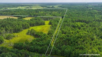 81 Acres Birch Drive, Mosinee, WI 54455