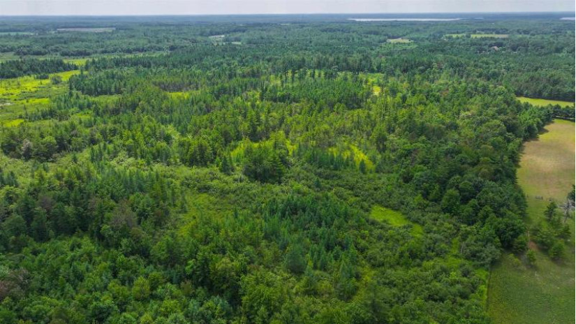 81 Acres Birch Drive Mosinee, WI 54455 by Nexthome Partners - 715-424-3000 $400,000