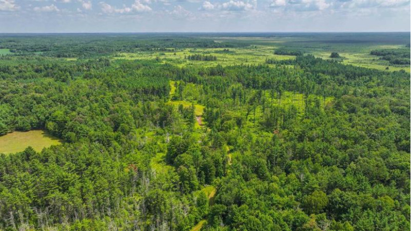 81 Acres Birch Drive Mosinee, WI 54455 by Nexthome Partners - 715-424-3000 $400,000