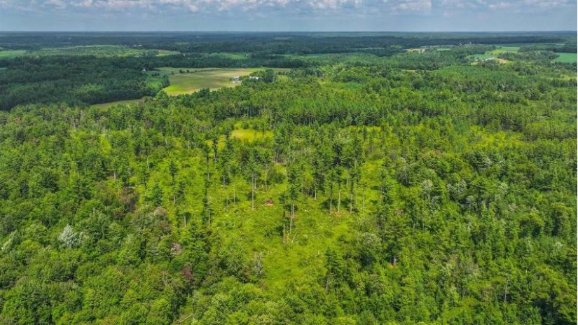 81 Acres Birch Drive Mosinee, WI 54455 by Nexthome Partners - 715-424-3000 $400,000