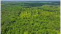 81 Acres Birch Drive Mosinee, WI 54455 by Nexthome Partners - 715-424-3000 $400,000