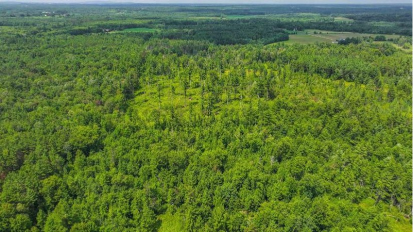 81 Acres Birch Drive Mosinee, WI 54455 by Nexthome Partners - 715-424-3000 $400,000