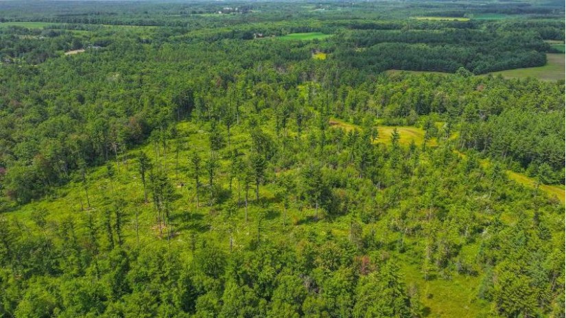 81 Acres Birch Drive Mosinee, WI 54455 by Nexthome Partners - 715-424-3000 $400,000