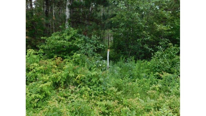 Lot 3 Brown Creek Road Tomahawk, WI 54487 by Century 21 Best Way $67,500