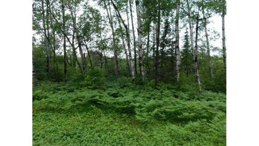 Lot 3 Brown Creek Road Tomahawk, WI 54487 by Century 21 Best Way $67,500