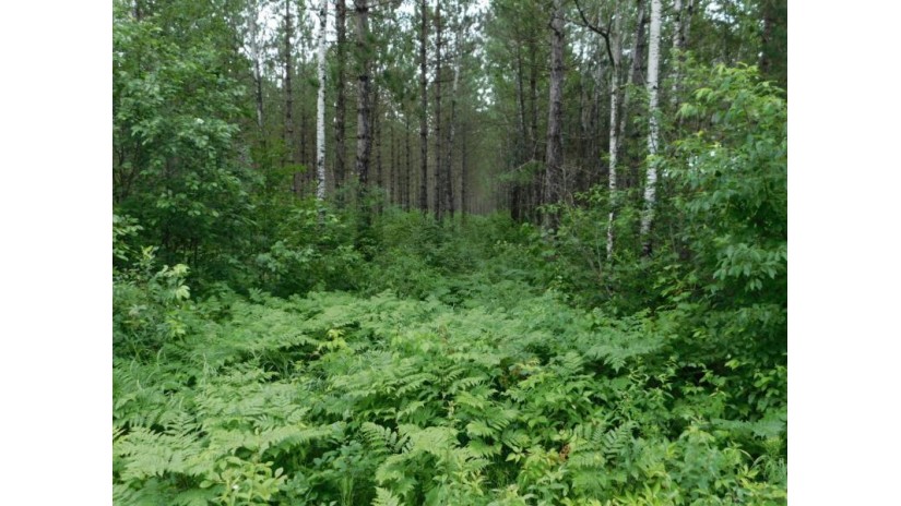 Lot 3 Brown Creek Road Tomahawk, WI 54487 by Century 21 Best Way $67,500