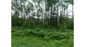 Lot 4 Brown Creek Road Tomahawk, WI 54487 by Century 21 Best Way $67,500