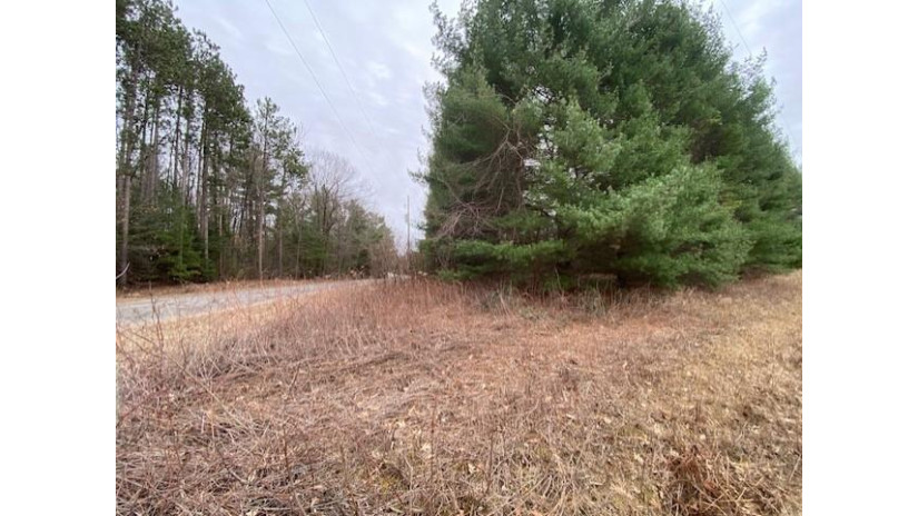 5.6 MOL Acres Wood Lane Mosinee, WI 54455 by First Weber - homeinfo@firstweber.com $169,900