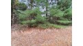 5.6 MOL Acres Wood Lane Mosinee, WI 54455 by First Weber - homeinfo@firstweber.com $169,900