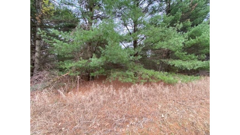 5.6 MOL Acres Wood Lane Mosinee, WI 54455 by First Weber - homeinfo@firstweber.com $169,900