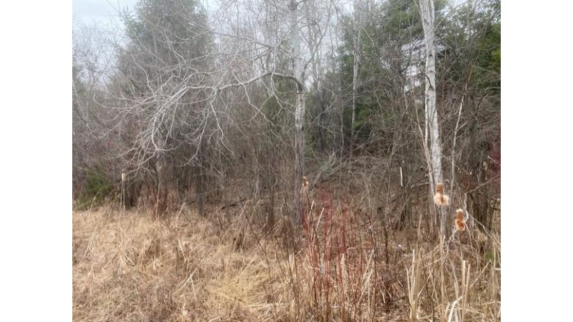 5.6 MOL Acres Wood Lane Mosinee, WI 54455 by First Weber - homeinfo@firstweber.com $169,900