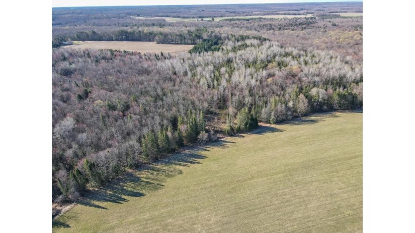 46 Acres MOL Eau Claire River Road Aniwa, WI 54408 by Coldwell Banker Action - Main: 715-359-0521 $249,900