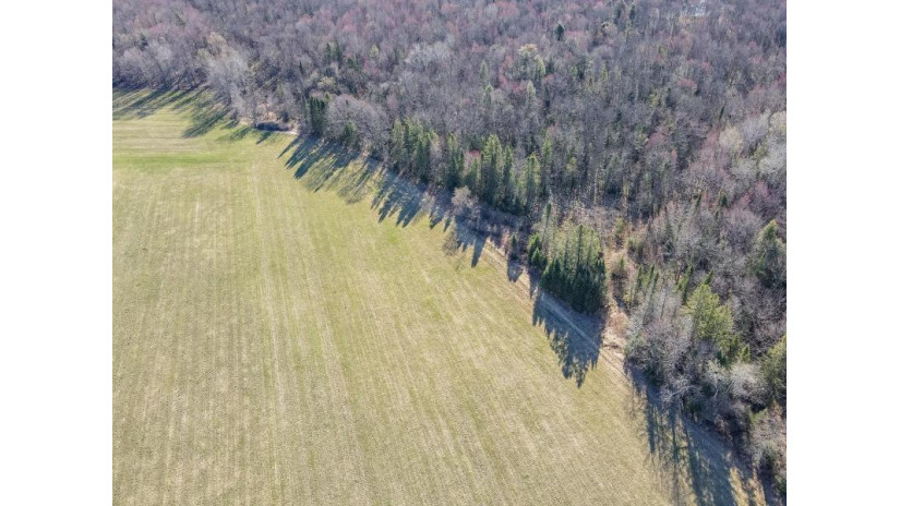 46 Acres MOL Eau Claire River Road Aniwa, WI 54408 by Coldwell Banker Action - Main: 715-359-0521 $249,900