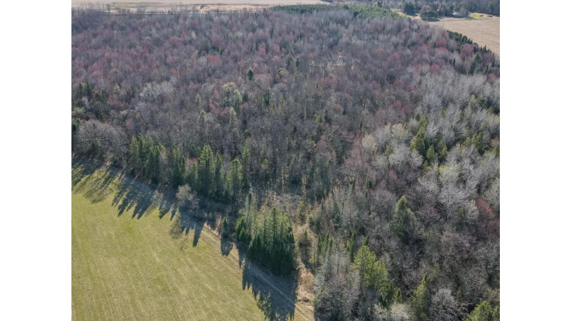 46 Acres MOL Eau Claire River Road Aniwa, WI 54408 by Coldwell Banker Action - Main: 715-359-0521 $249,900